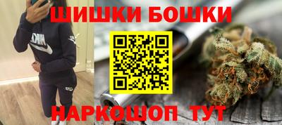 дмт Бийск
