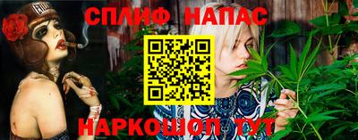 дмт Бийск