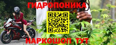 дмт Бийск