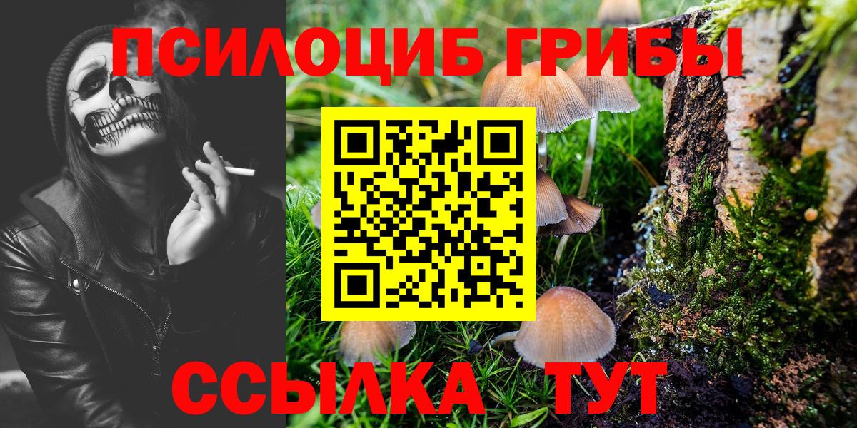 Ипатово  Галлюциногенные грибы мицелий  Вход с VPN 